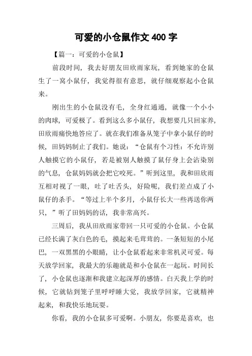 可爱的小仓鼠作文400字