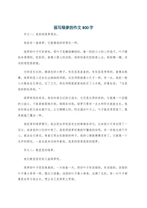 描写绿萝的作文800字