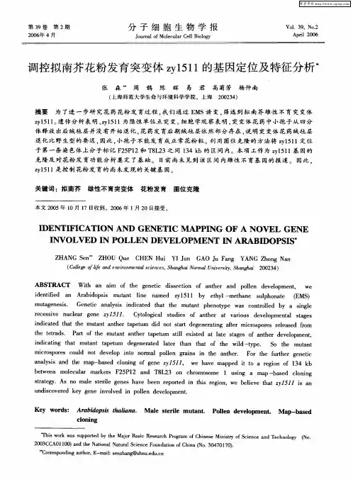 调控拟南芥花粉发育突变体zy1511的基因定位及特征分析