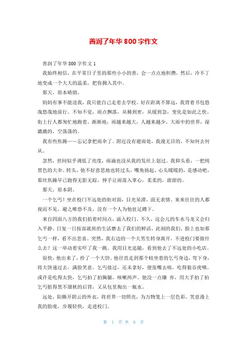 善润了年华800字作文