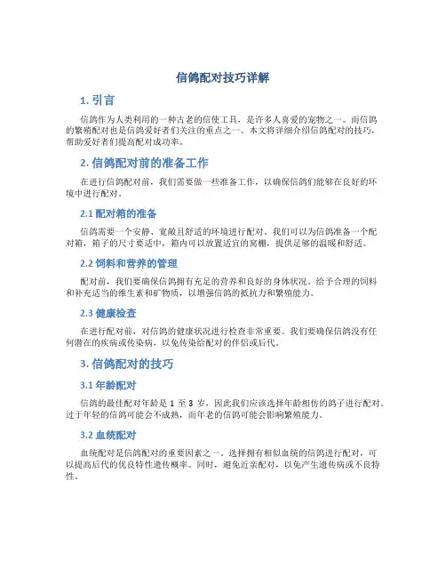 信鸽配对技巧详解