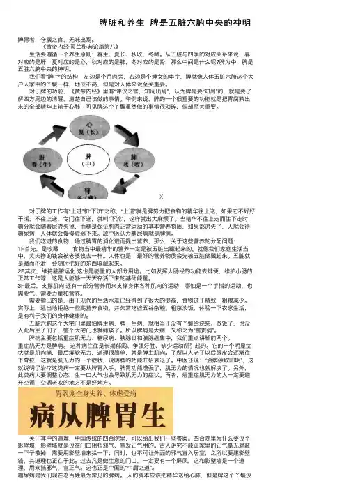 脾脏和养生