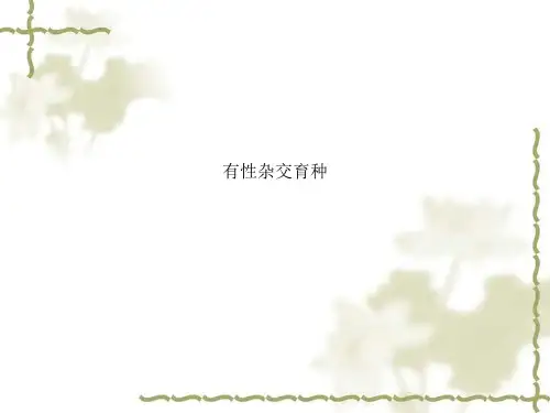 有性杂交育种