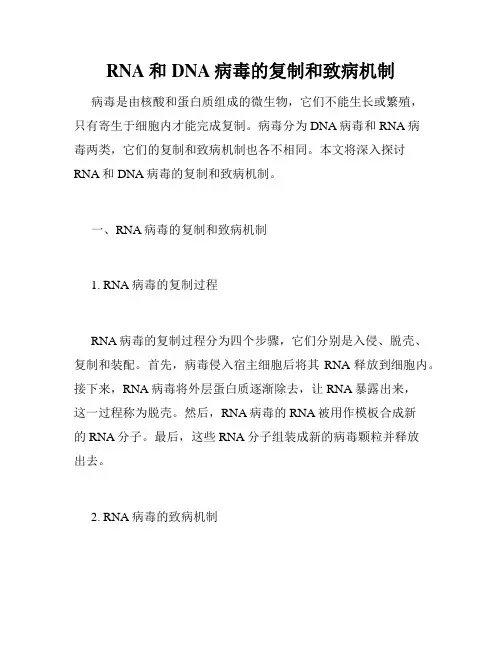 RNA和DNA病毒的复制和致病机制