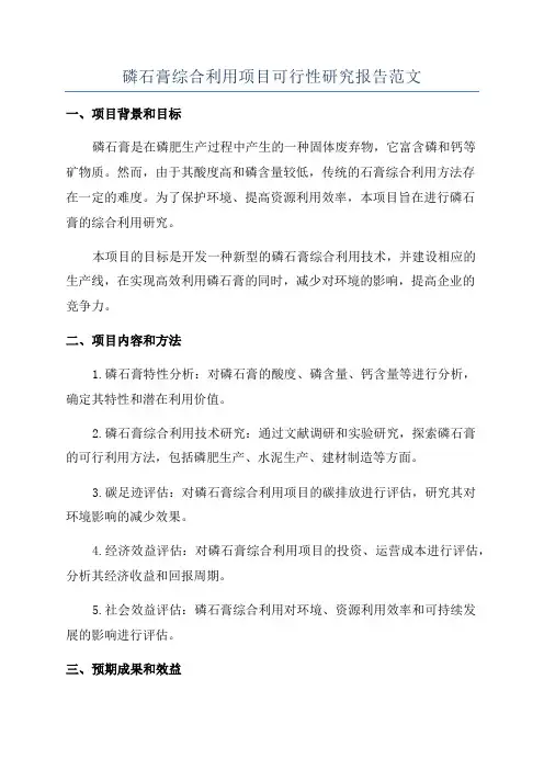 磷石膏综合利用项目可行性研究报告范文