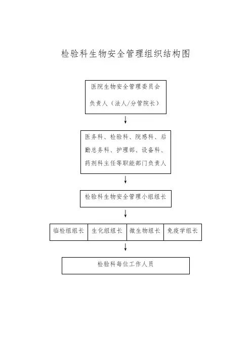 生物安全组织管理和相应的组织图