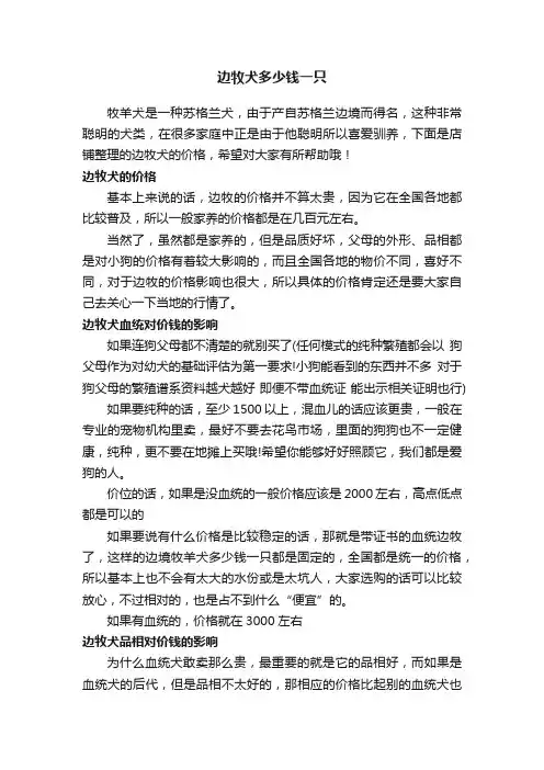 边牧犬多少钱一只