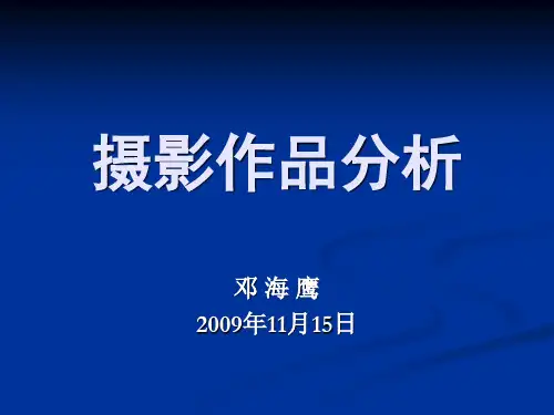 摄影赏析第08讲 作品--摄影作品分析1