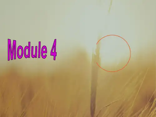 英语周报2016-2017学年高二外研版选修八：Module 4 课件 Writing 精品