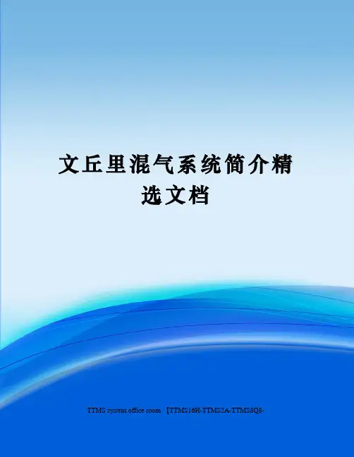 文丘里混气系统简介精选文档