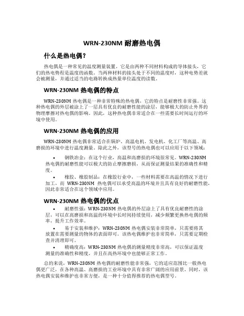 WRN-230NM耐磨热电偶