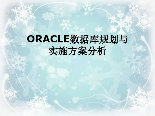 ORACLE数据库规划与实施方案分析