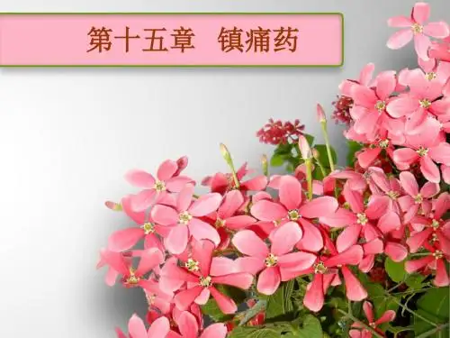 药理学第15章 镇痛药