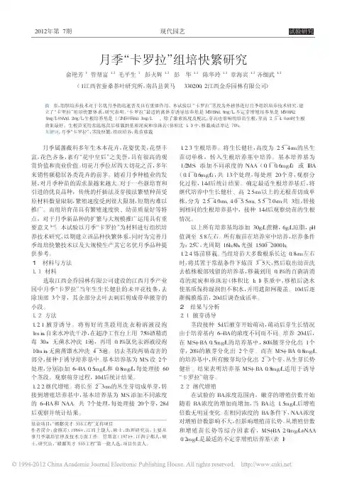 月季_卡罗拉_组培快繁研究