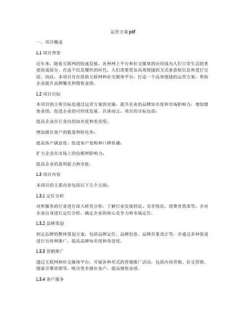 运营方案 pdf