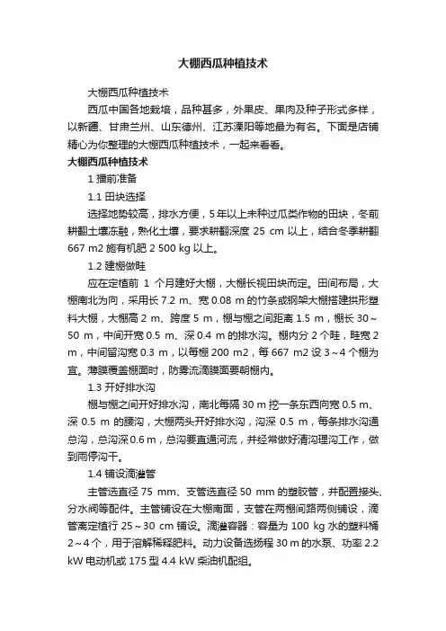 大棚西瓜种植技术