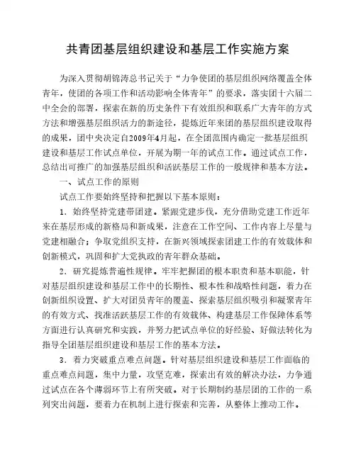 共青团基层组织建设和基层工作实施方案