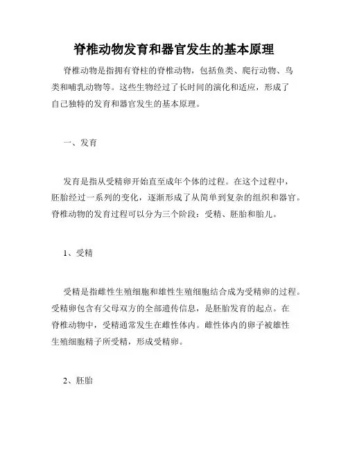 脊椎动物发育和器官发生的基本原理