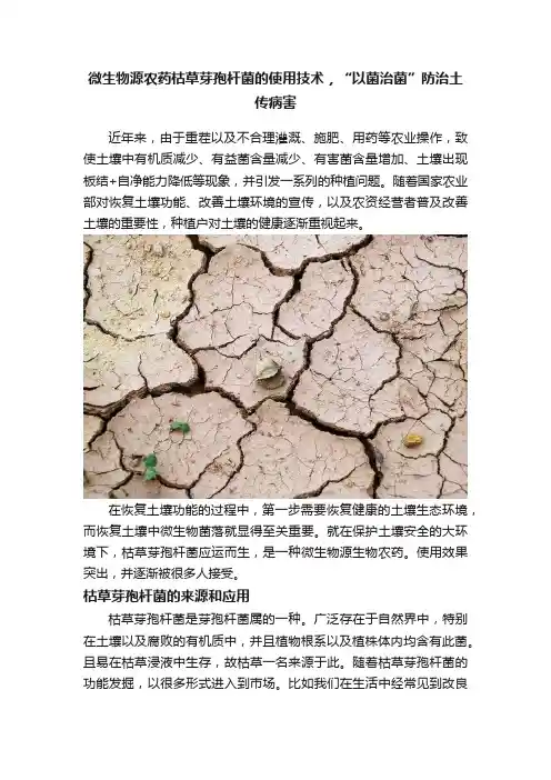 微生物源农药枯草芽孢杆菌的使用技术，“以菌治菌”防治土传病害