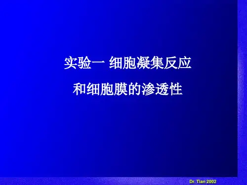 实验一细胞凝集反应 和细胞膜的渗透性解析