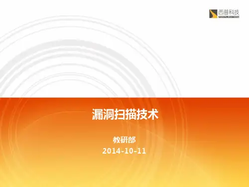 漏洞扫描技术ppt课件