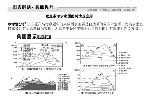 高频图表5   垂直带谱示意图 演示文稿