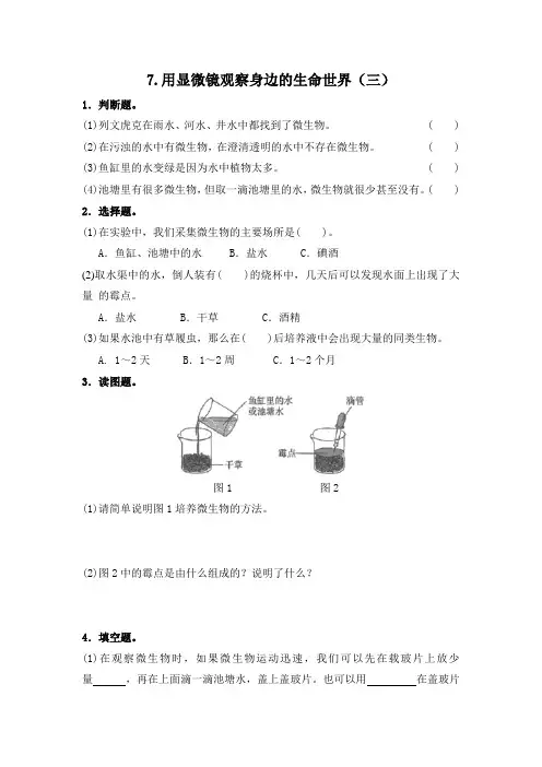 7.用显微镜观察身边的生命世界(三)-重点练习(含答案)2020教科版六年级下册科学