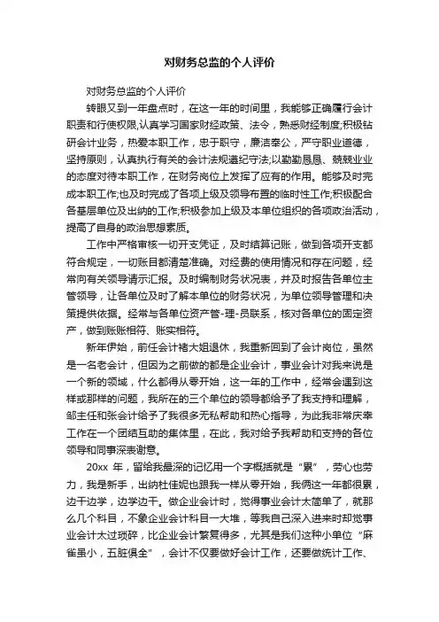 对财务总监的个人评价
