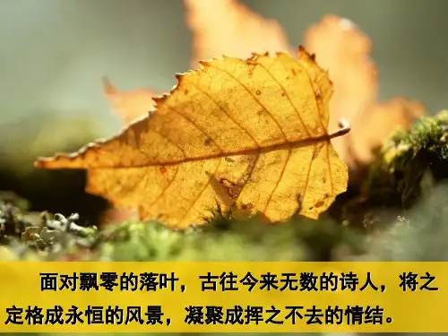 人教版高中语文必修5-9《说“木叶”》  课件           (共47张PPT)优秀课件