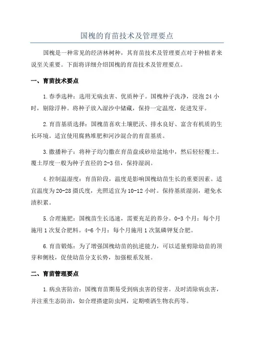 国槐的育苗技术及管理要点