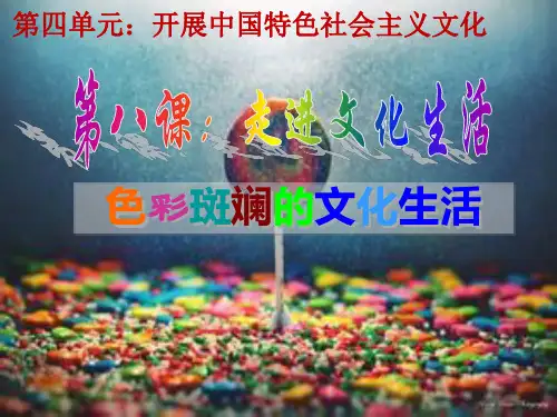 高中思想政治色彩斑斓的文化生活优秀课件