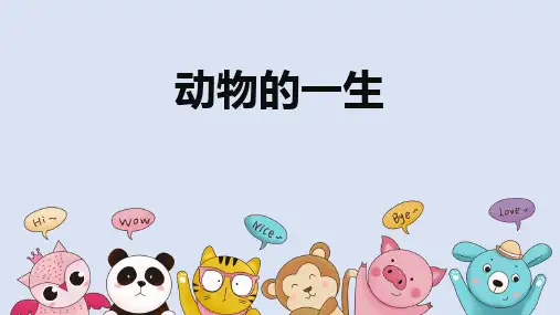 《动物的一生》科学教学PPT课件(6篇)