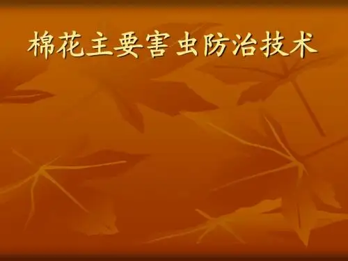 棉花主要害虫防治(幻灯)