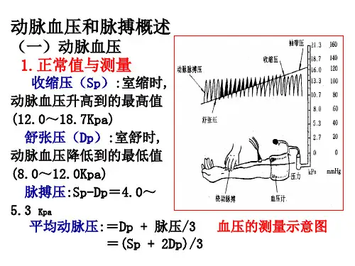 动脉血压和脉搏概述