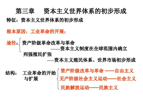 第三章资本主义世界体系的初步形成