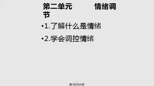 情绪调节pptPPT课件