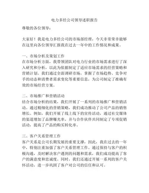 电力多经公司领导述职报告