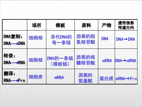 基因表达与性状的关系(18张PPT)PPT优秀课件
