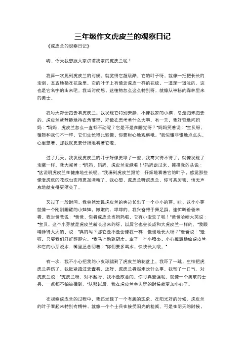 三年级作文虎皮兰的观察日记