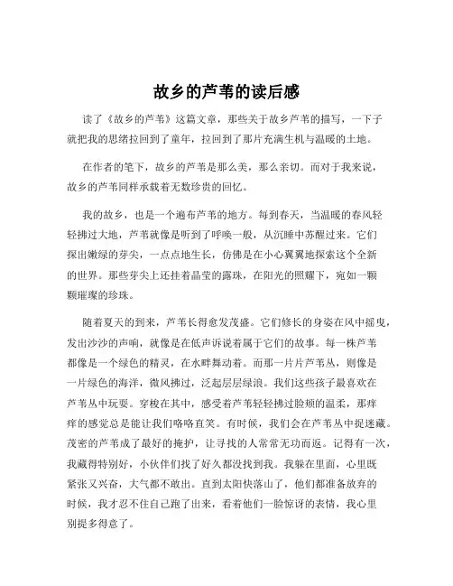 故乡的芦苇的读后感