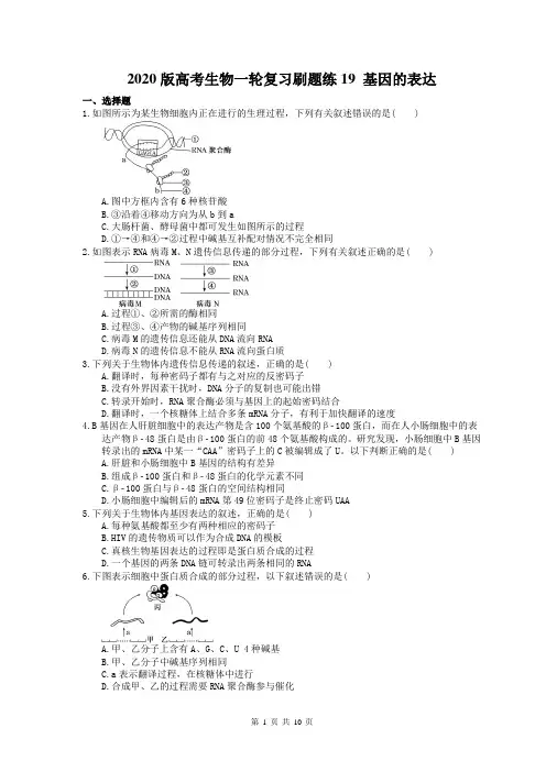【高考一轮】2020版高考生物一轮复习刷题练19 基因的表达(含答案解析)
