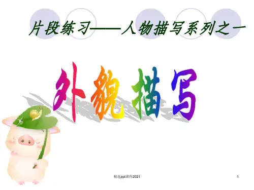 人物外貌描写教学ppt课件