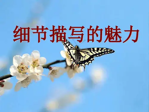 初中作文指导细节描写的魅力ppt1