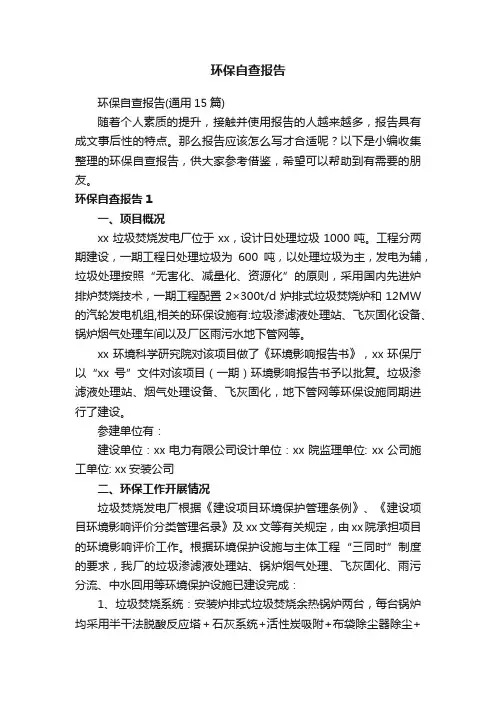 环保自查报告