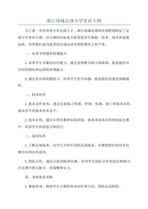 浙江绿城足球小学青训大纲