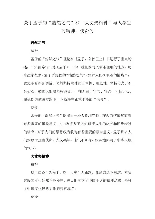 关于孟子的“浩然之气”和“大丈夫精神”与大学生的精神、使命的
