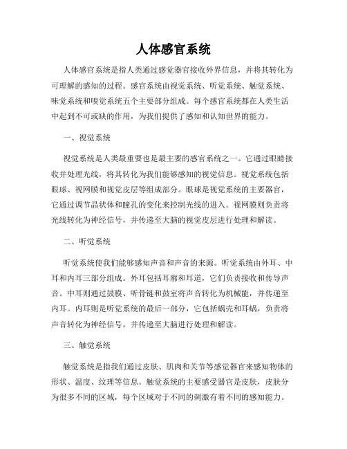人体感官系统