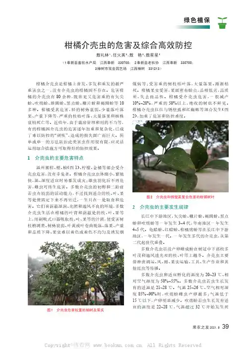 柑橘介壳虫的危害及综合高效防控