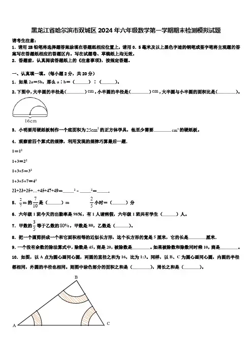 黑龙江省哈尔滨市双城区2024年六年级数学第一学期期末检测模拟试题含解析