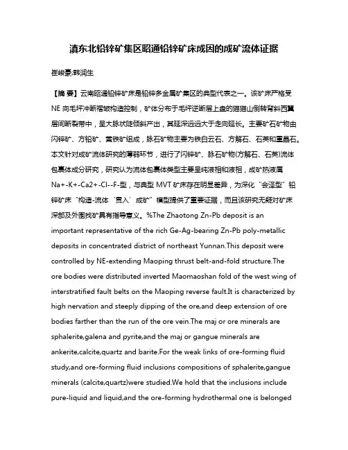 滇东北铅锌矿集区昭通铅锌矿床成因的成矿流体证据